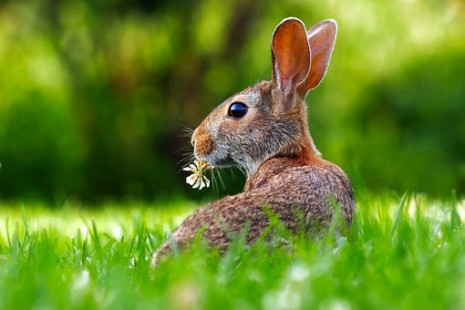 Schalterschliessung über Ostern (1/1)