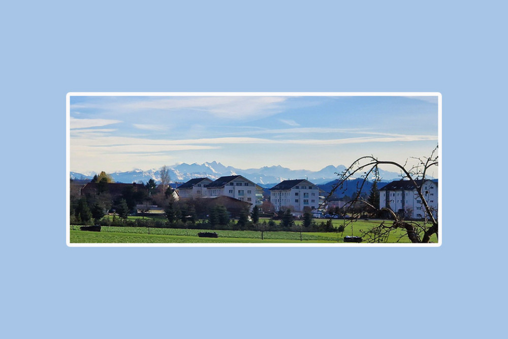 Bulletin Gemeinderat (1/1)