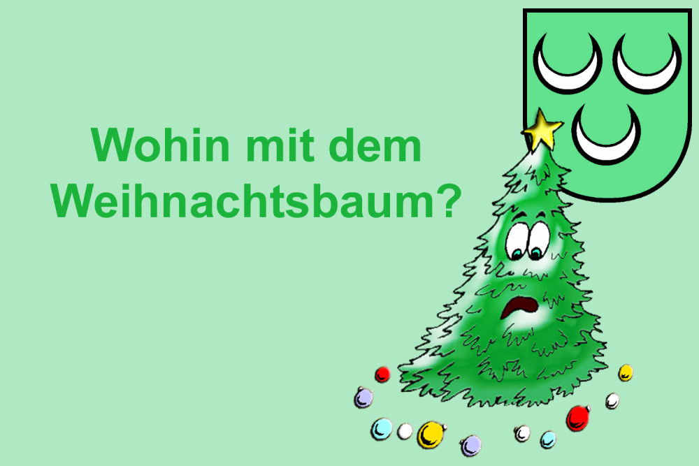 Weihnachtsbaum-Entsorgung und Informationen Grünabfuhr (1/1)
